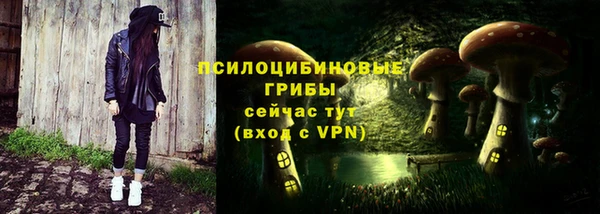молекула духа Аркадак